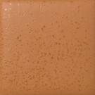 Papaya thumbnail