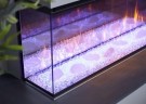 British Fires New Forest 1200 Elektrisk peisinnsats thumbnail