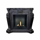 Bioethanol Classic thumbnail