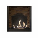 Xaralyn Innebygd brenner L medallion bioetanolpeis thumbnail