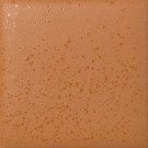 Papaya  thumbnail