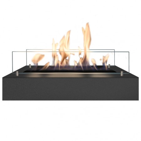 Xaralyn Biopeis brenner L (5820B)